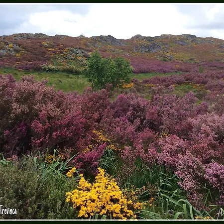 A Aira Da Petada Boutique Hotel 2*