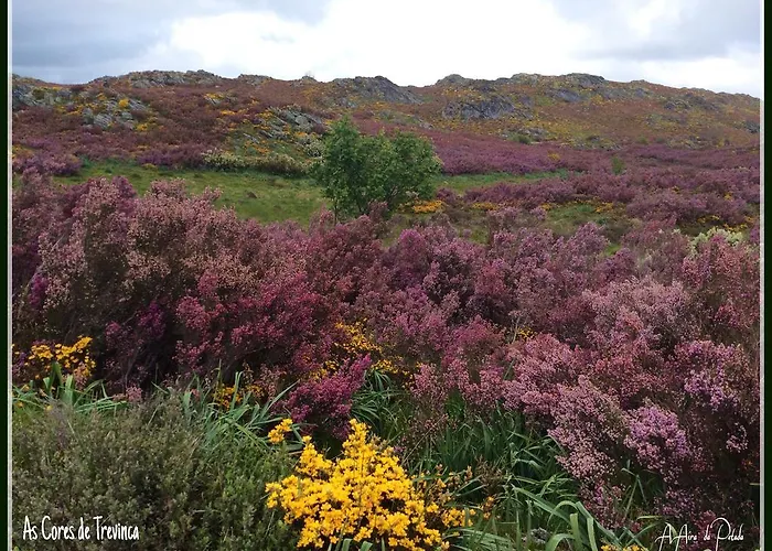 A Aira Da Petada Boutique Otel 2*