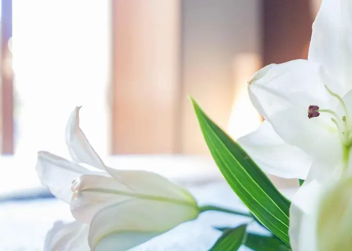 A Aira Da Petada Boutique 2* Corzos